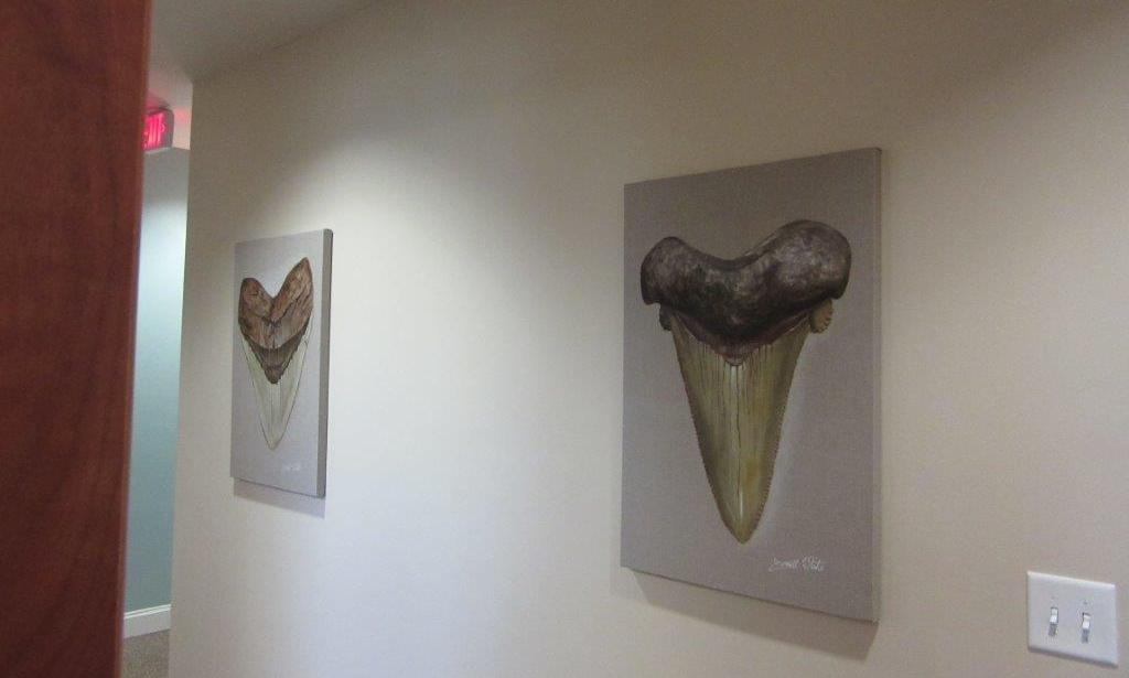 Art in dental hallway | Azalea Dental